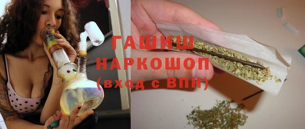 крисы Сатка