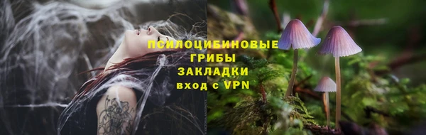 прущая мука Сафоново
