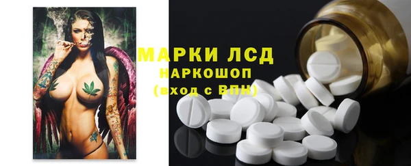 крисы Сатка