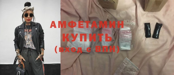 крисы Сатка