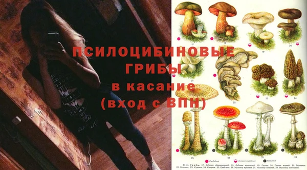 прущая мука Сафоново