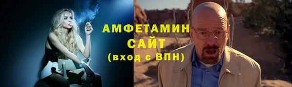 крисы Сатка