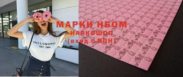 крисы Сатка