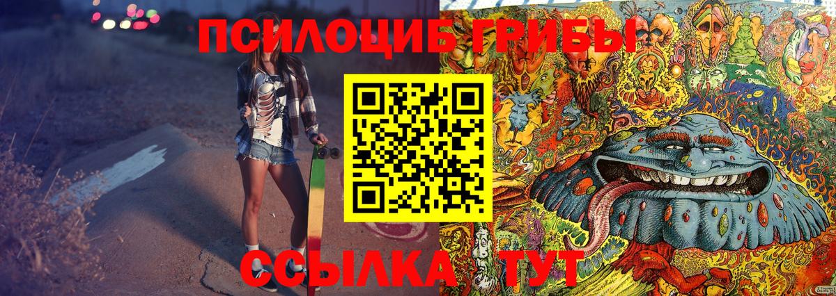 Тосно  Галлюциногенные грибы Magic Shrooms  Вход с VPN 