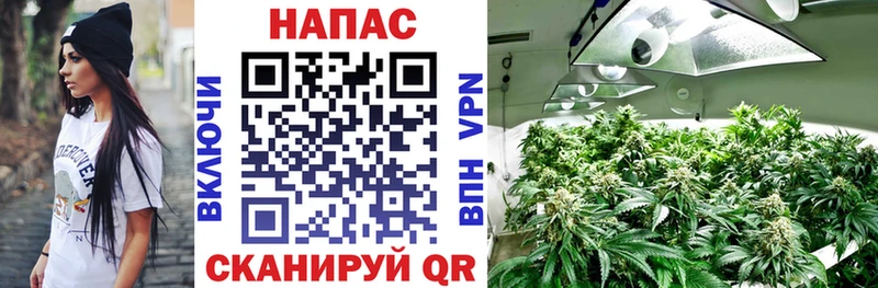 наркота  Тосно  Бошки марихуана тримм 